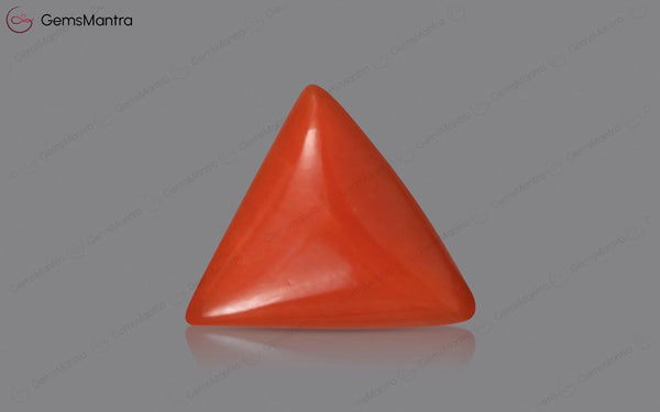 Red Coral - 3.56 Carats