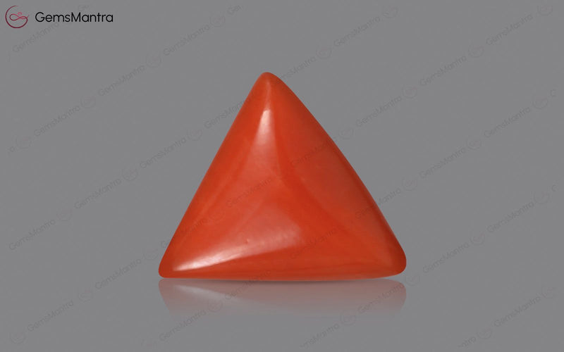 Red Coral - 3.56 Carats