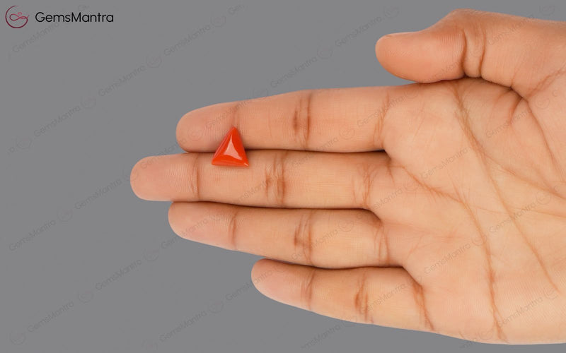 Red Coral - 3.56 Carats