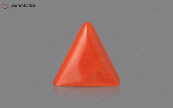 Red Coral - 3.66 Carats