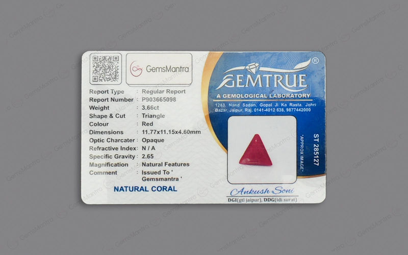 Red Coral - 3.66 Carats
