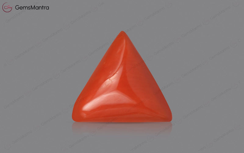 Red Coral - 3.58 Carats