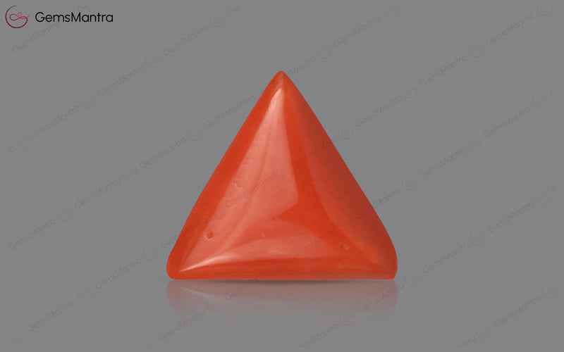 Red Coral - 3.58 Carats