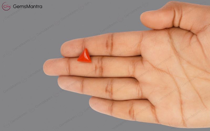 Red Coral - 3.58 Carats