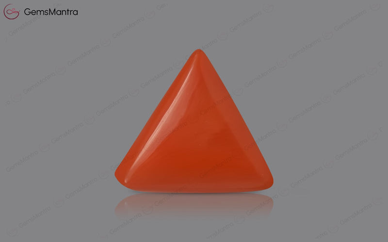 Red Coral - 3.34 Carats