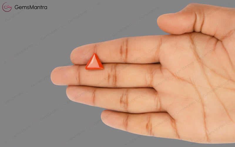 Red Coral - 3.34 Carats