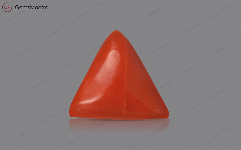 Red Coral - 3.45 Carats