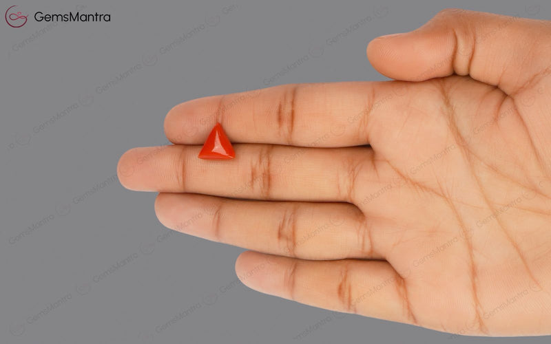 Red Coral - 3.45 Carats