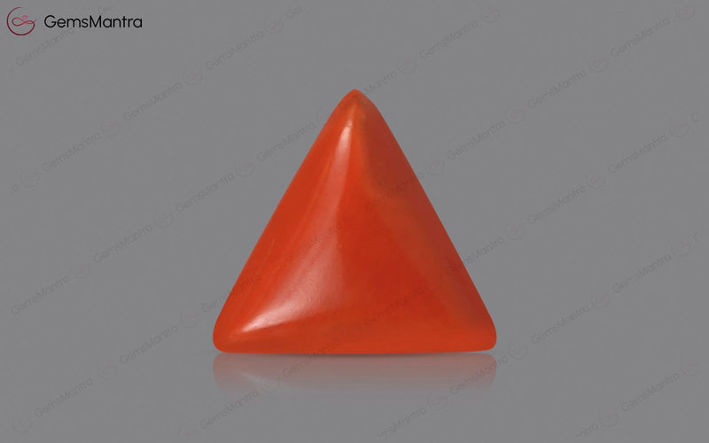 Red Coral - 3.21 Carats