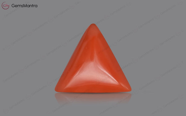 Red Coral - 3.55 Carats