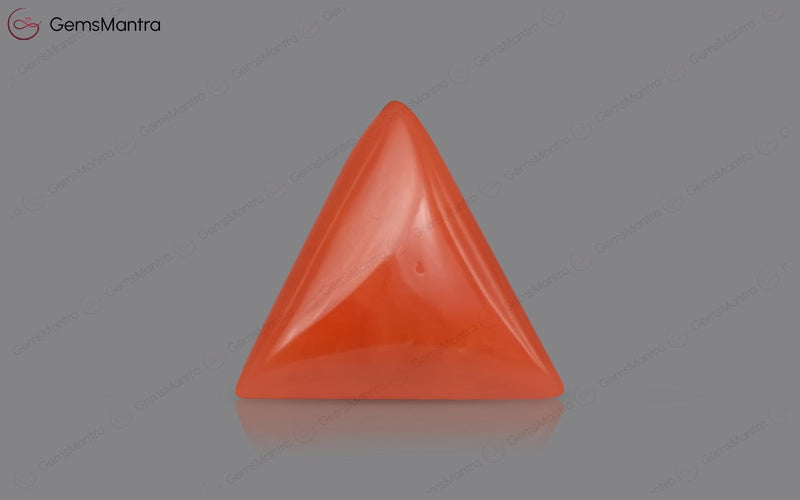 Red Coral - 3.55 Carats