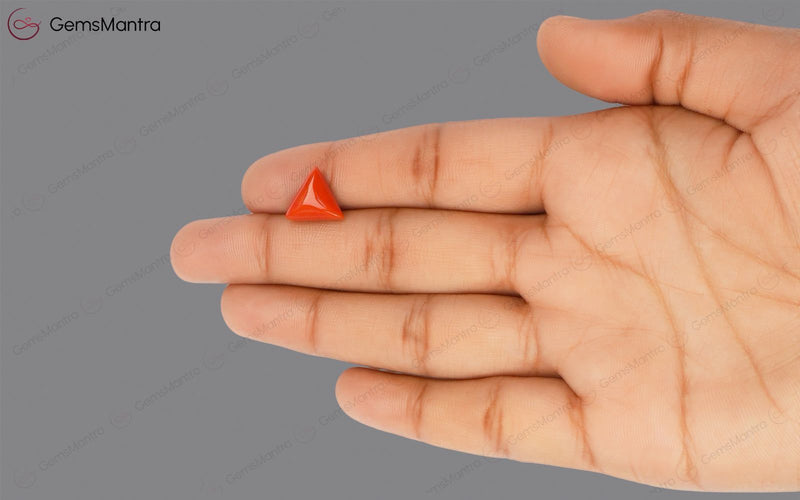 Red Coral - 3.55 Carats