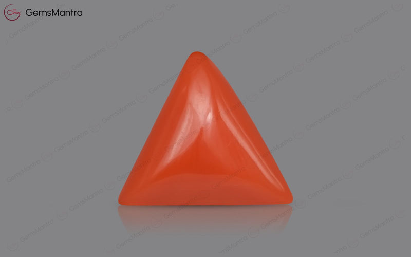 Red Coral - 3.63 Carats