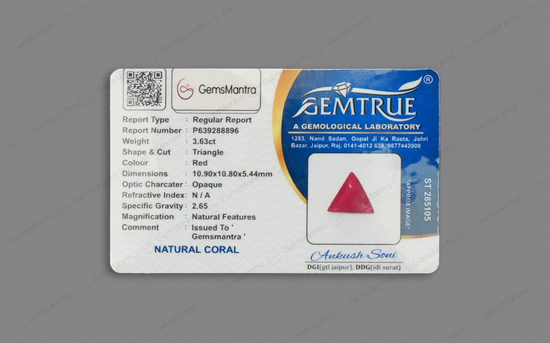 Red Coral - 3.63 Carats