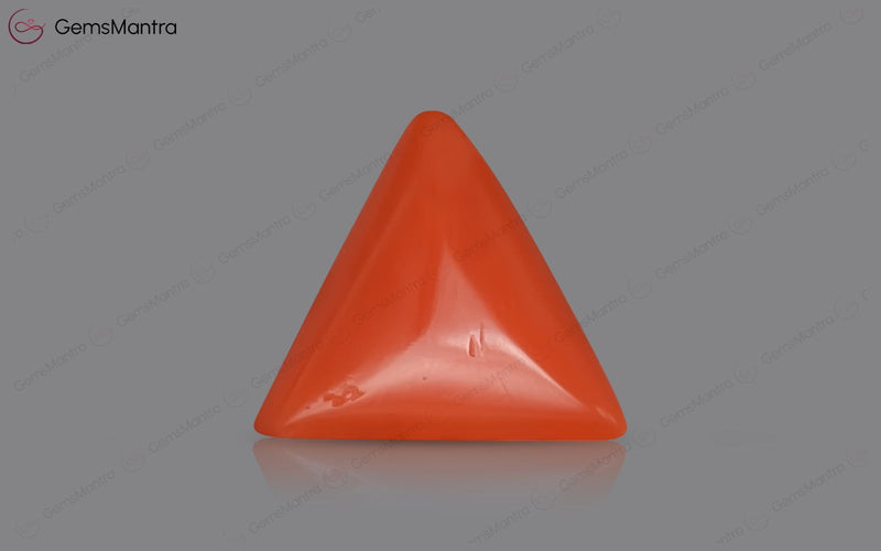 Red Coral - 3.63 Carats