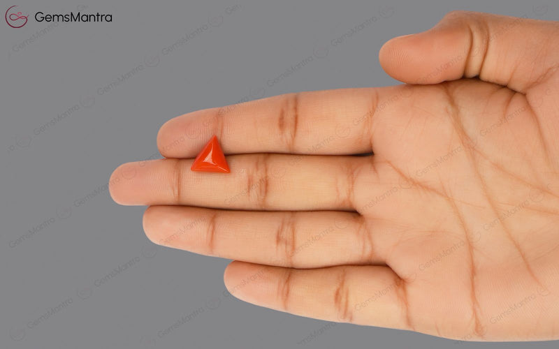 Red Coral - 3.63 Carats