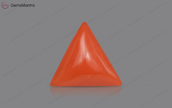 Red Coral - 3.9 Carats