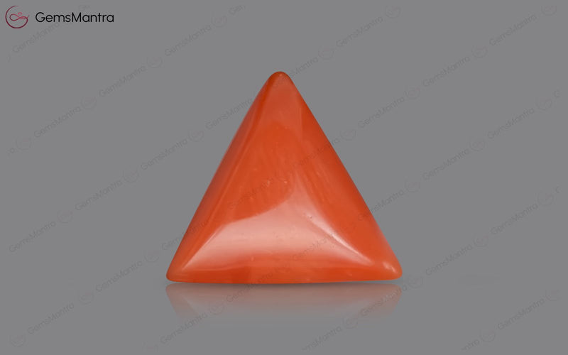 Red Coral - 3.9 Carats