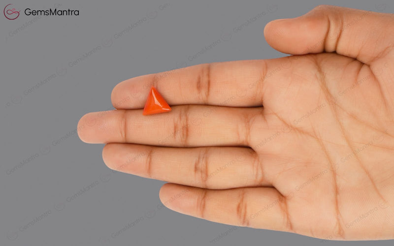 Red Coral - 3.9 Carats