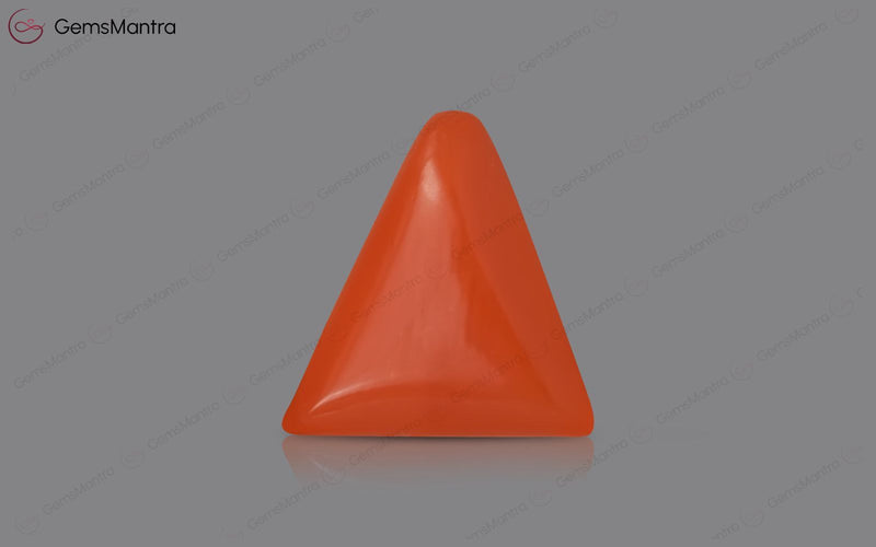 Red Coral - 3.62 Carats