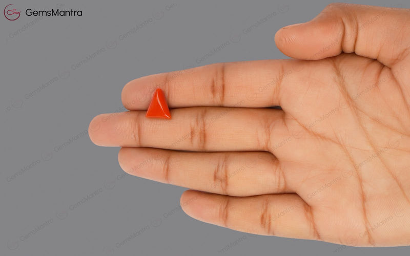 Red Coral - 3.62 Carats