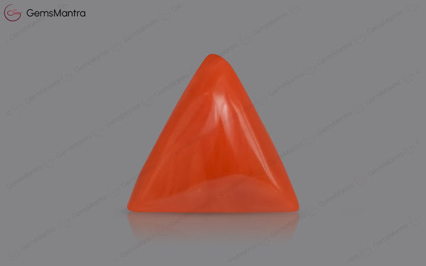 Red Coral - 3.18 Carats