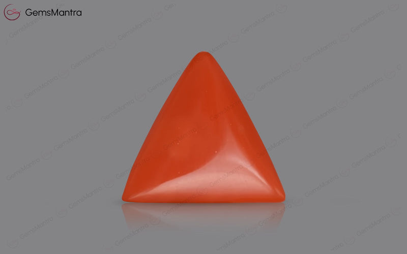 Red Coral - 3.18 Carats