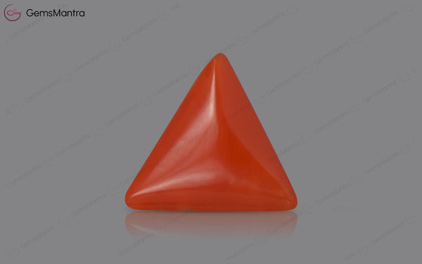 Red Coral - 3.58 Carats