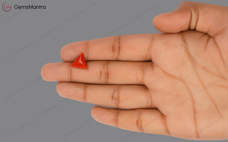 Red Coral - 3.58 Carats