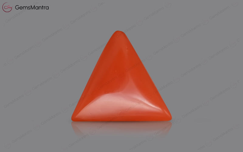 Red Coral - 3.92 Carats