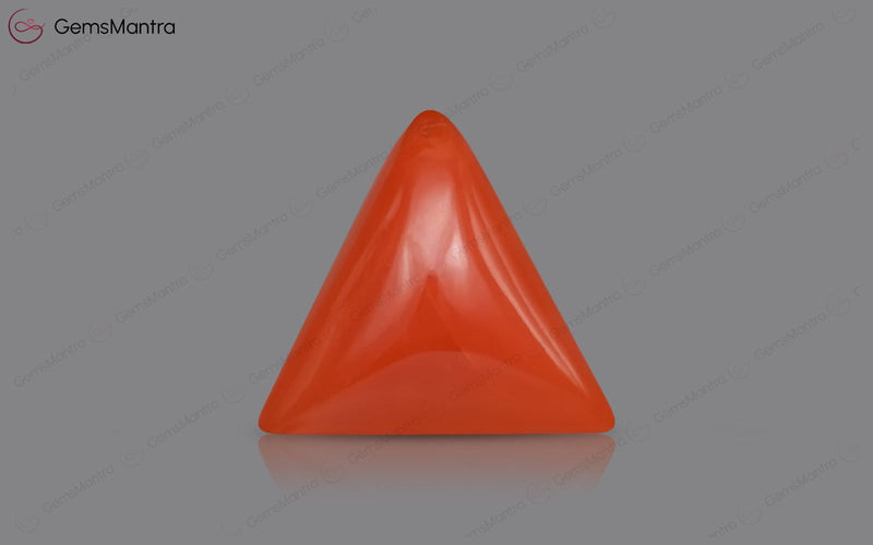 Red Coral - 3.92 Carats