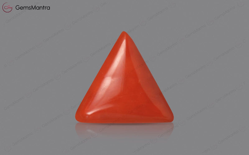 Red Coral - 3.22 Carats