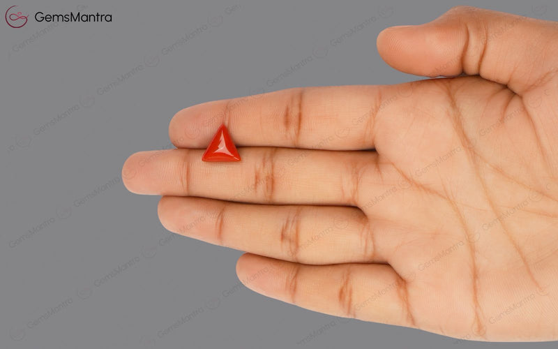 Red Coral - 3.22 Carats