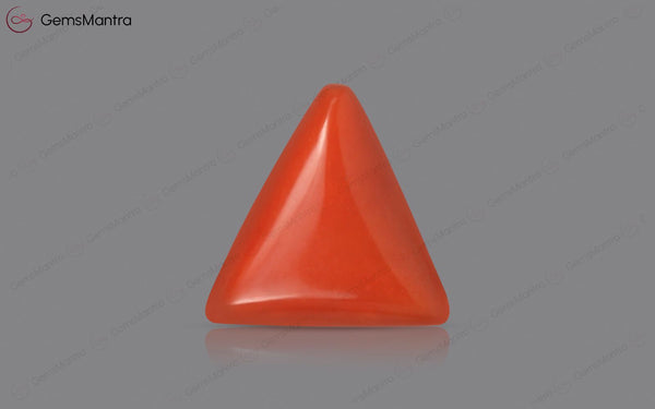 Red Coral - 3.66 Carats