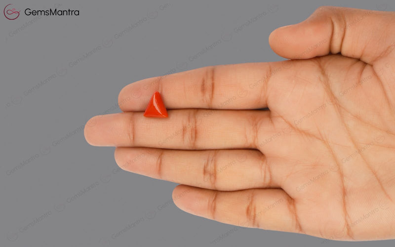 Red Coral - 3.66 Carats
