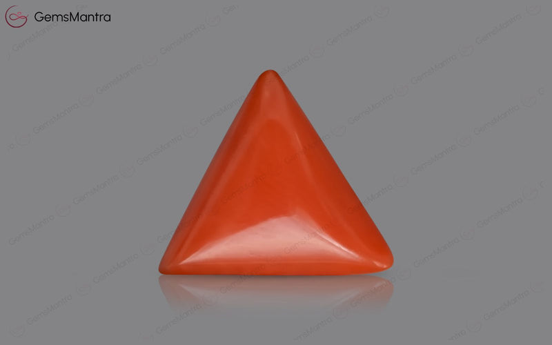 Red Coral - 3.85 Carats