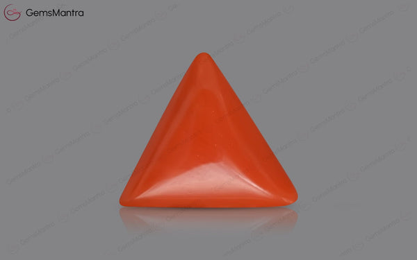 Red Coral - 3.85 Carats