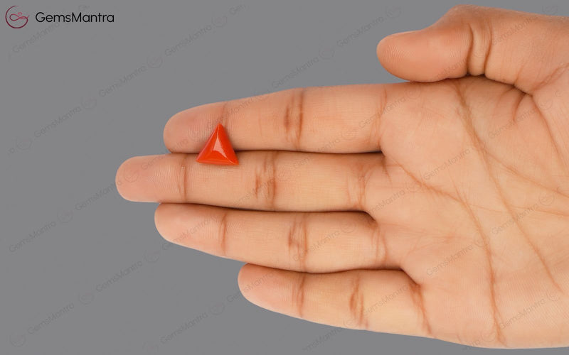 Red Coral - 3.85 Carats