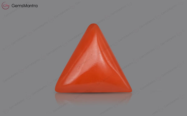 Red Coral - 3.72 Carats