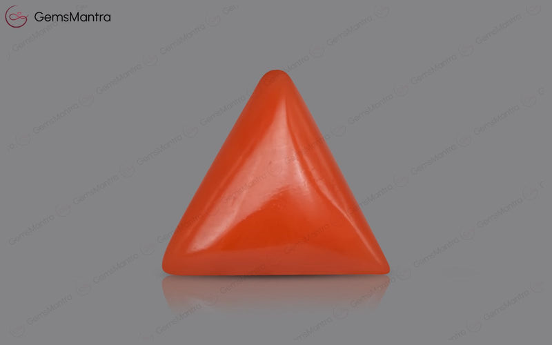 Red Coral - 3.72 Carats