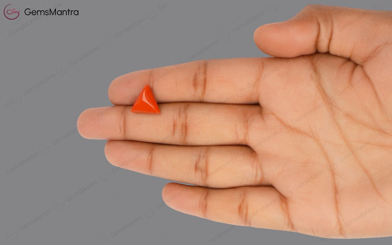 Red Coral - 3.72 Carats