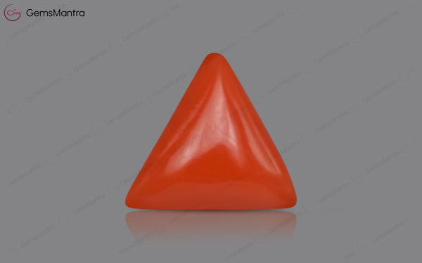 Red Coral - 3.46 Carats