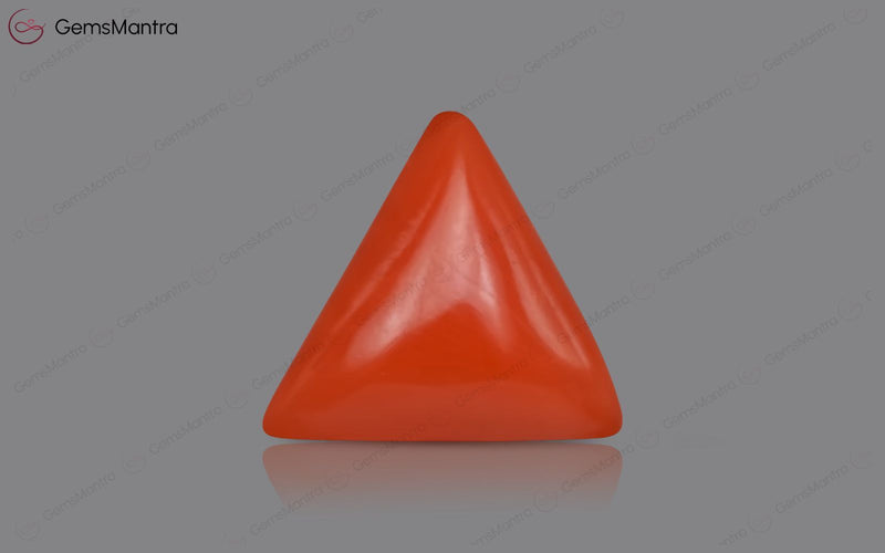 Red Coral - 3.46 Carats