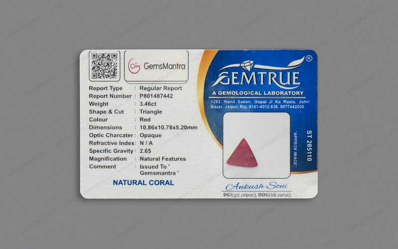Red Coral - 3.46 Carats