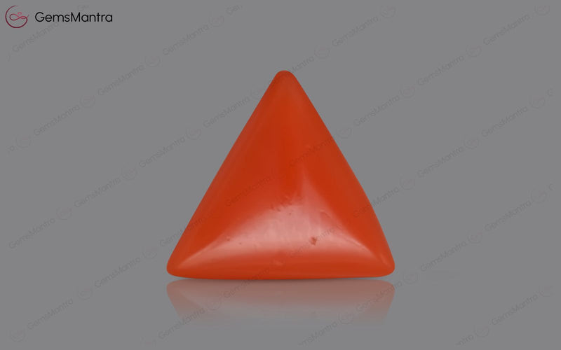 Red Coral - 3.46 Carats