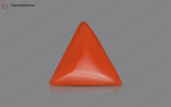 Red Coral - 3.54 Carats