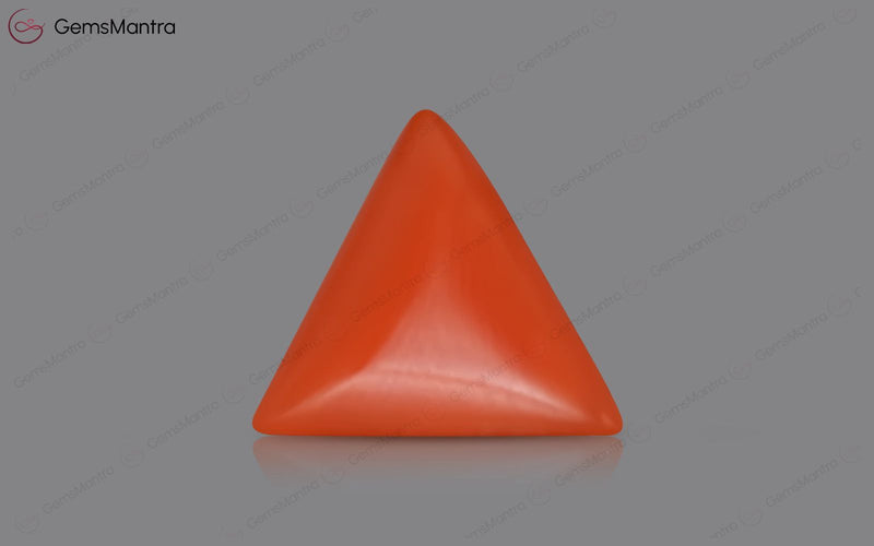 Red Coral - 3.54 Carats