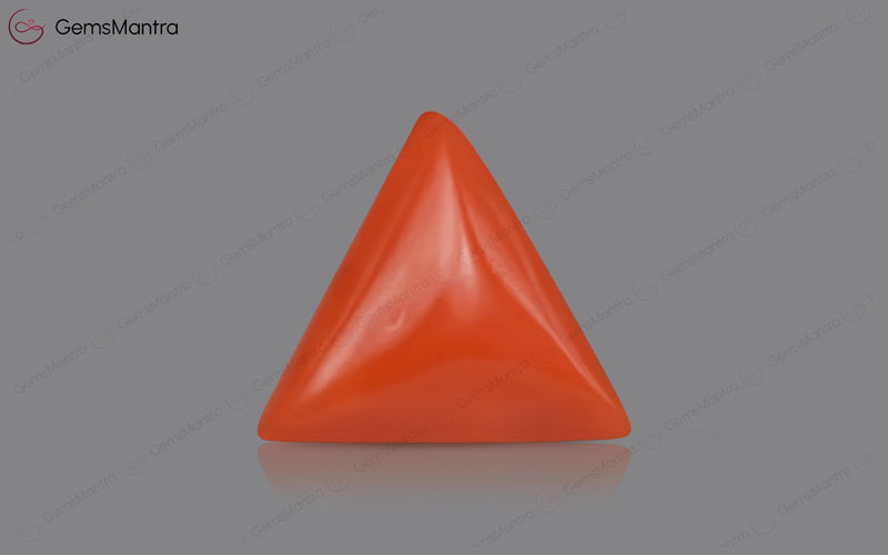 Red Coral - 3.54 Carats