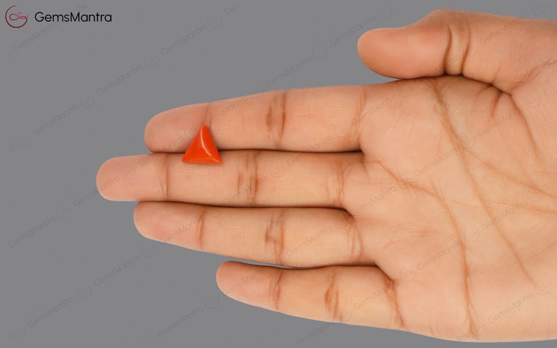 Red Coral - 3.54 Carats