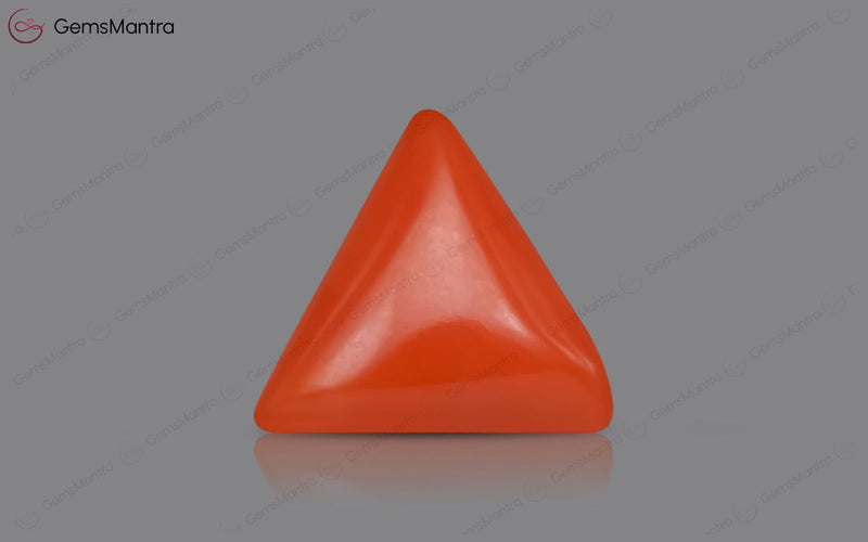 Red Coral - 3.52 Carats